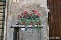VBS_3794 - Fontanile (Asti) - Murales di Luigi Amerio